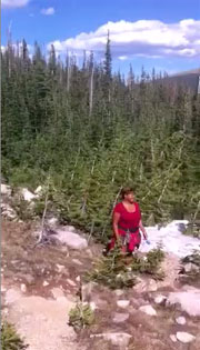 Video: The beautiful Erika Harris