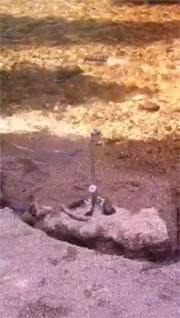 Video: Interlude of Happiness